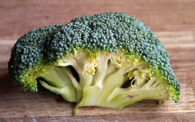 What’s the story about Sulforaphane